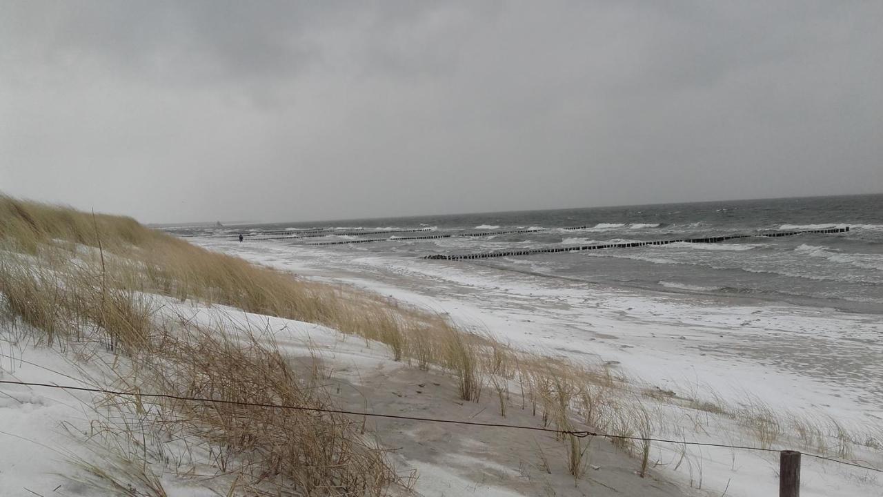 Logierhaus Friedrich We 15 - "Ostseeluft" Zingst Kültér fotó